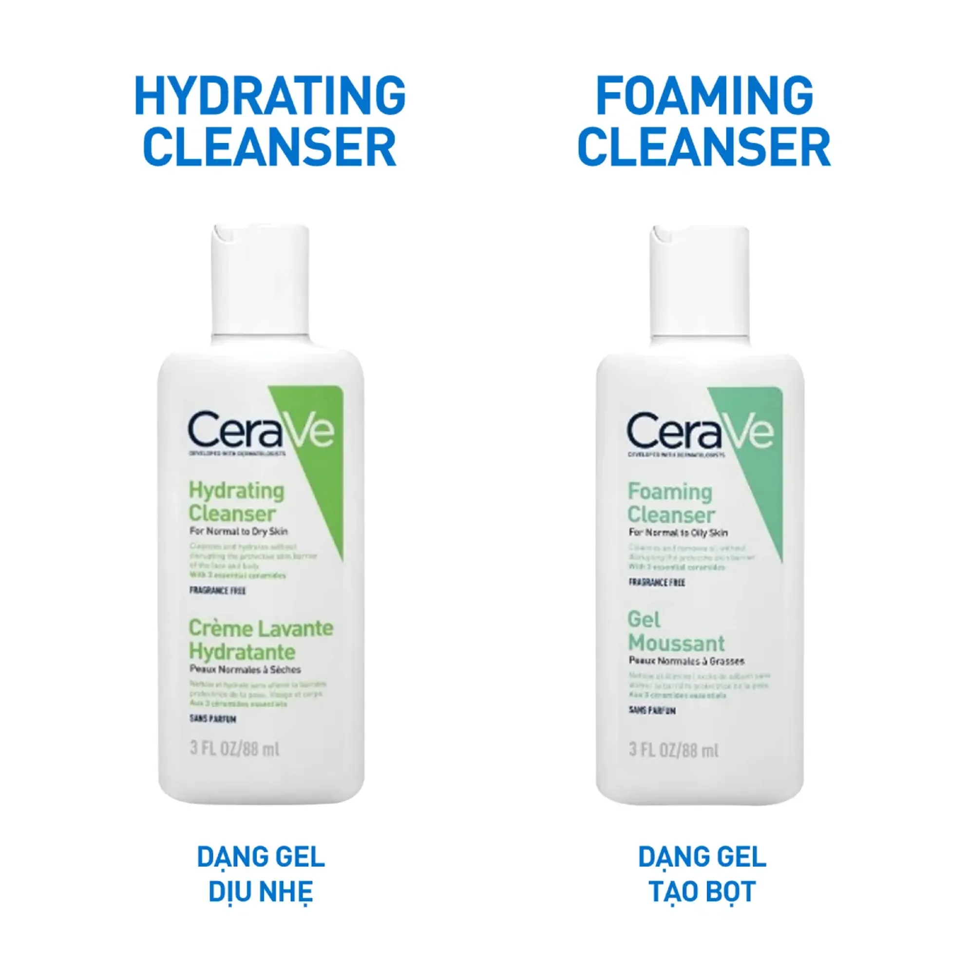 ee872cb1-5b7f-4732-ab98-a63ee14b94a0 ee872cb1 5b7f 4732 ab98 a63ee14b94a0